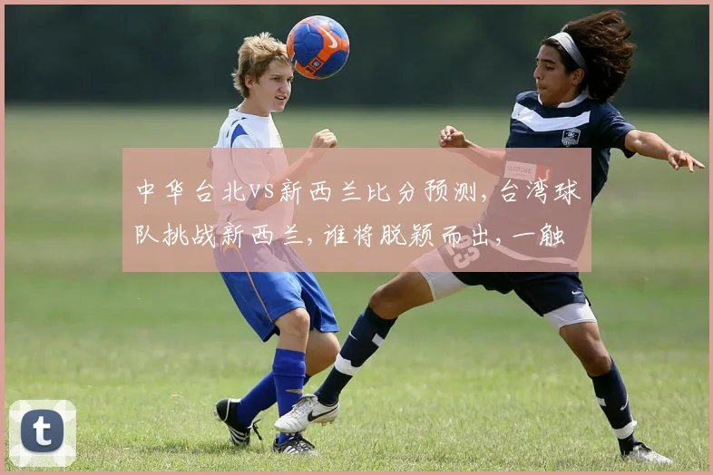 中华台北vs新西兰比分预测,台湾球队挑战新西兰,谁将脱颖而出,一触即发