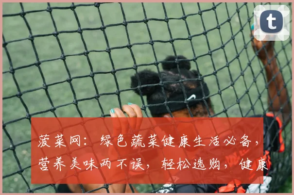 菠菜网：绿色蔬菜健康生活必备，营养美味两不误，轻松选购，健康加分